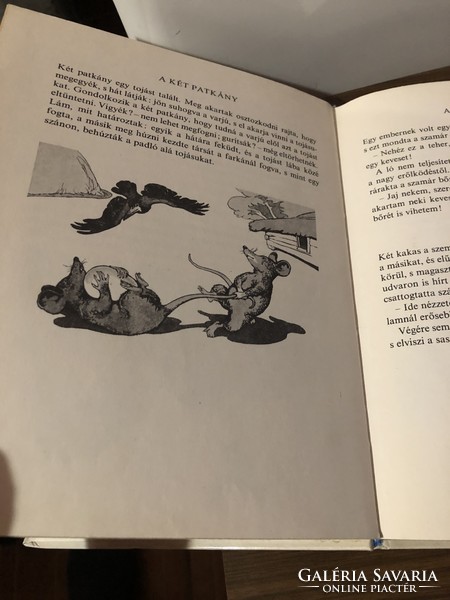 Bear on the chariot Tolsztoj book fairy tale animal tale storybook