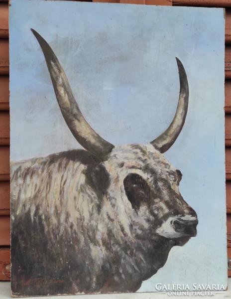 Oil-wood fiber painting of gray cattle, bull, cattle, portrait, marked, signed in Hortobágy style