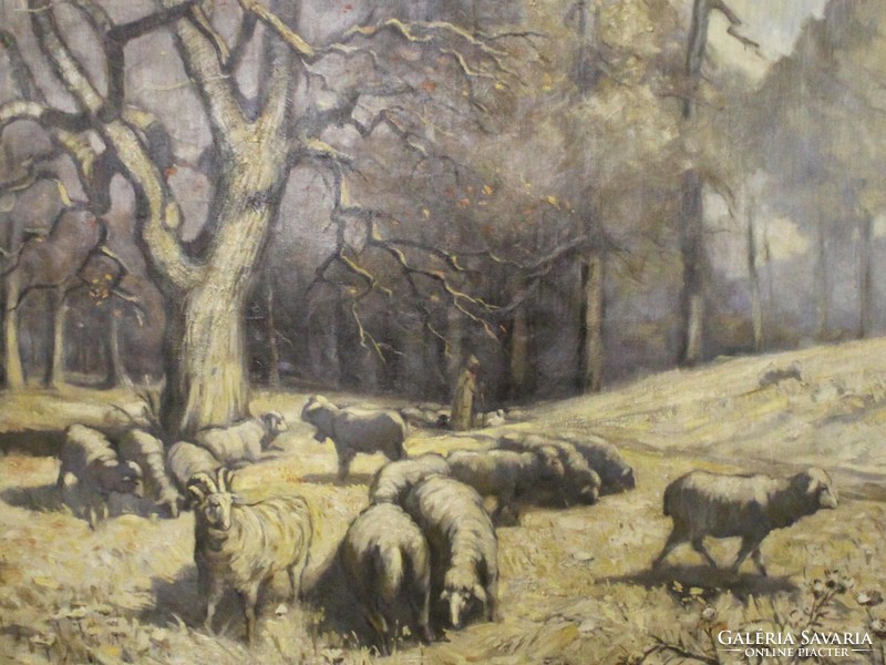 Przudzik Joseph - a shepherd herding her lamb