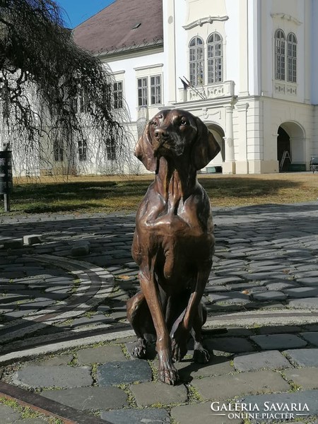 Life-size Hungarian Vizsla bronze statue