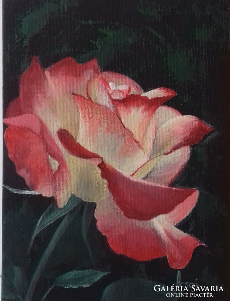 Rózsaszál 2. című festmény - csendélet