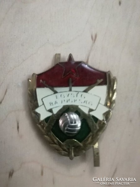 Unity championship badge from the 60s