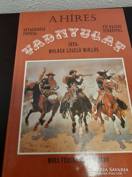 The book The Wild Wild West by László Miklós Miller