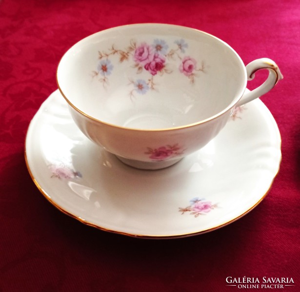 Antique Bavarian porcelain tea cup with saucer