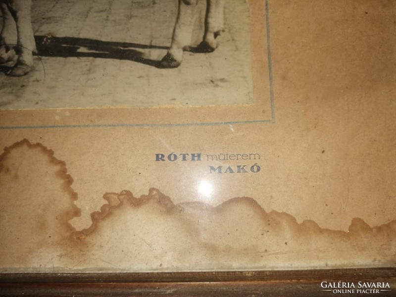 Antik fotó üvegezett képkeretben Róth műterem Makó  36,5*44,5 cm