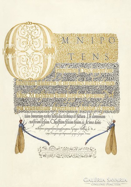 Középkori díszes aranyozott kalligráfia iniciálé szitakötő 16.sz kézirat reprint Mira Calligraphiae