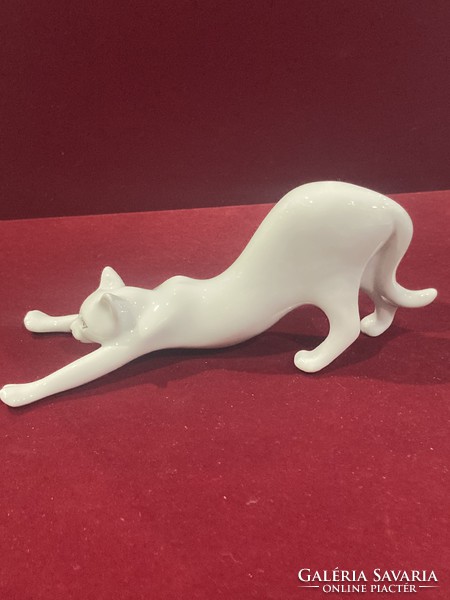 Raven house porcelain white gold stretching kitten