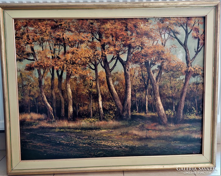 Michael Gácsi: autumn forest