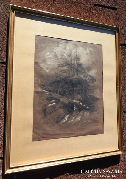 Barren tree: marked old charcoal drawing
