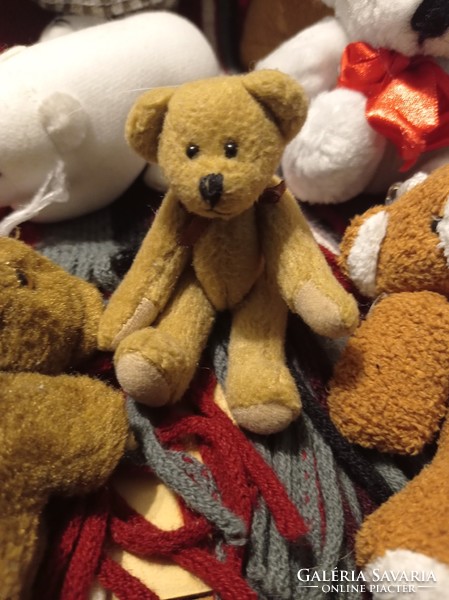 Collection of 12 teddy bears in one