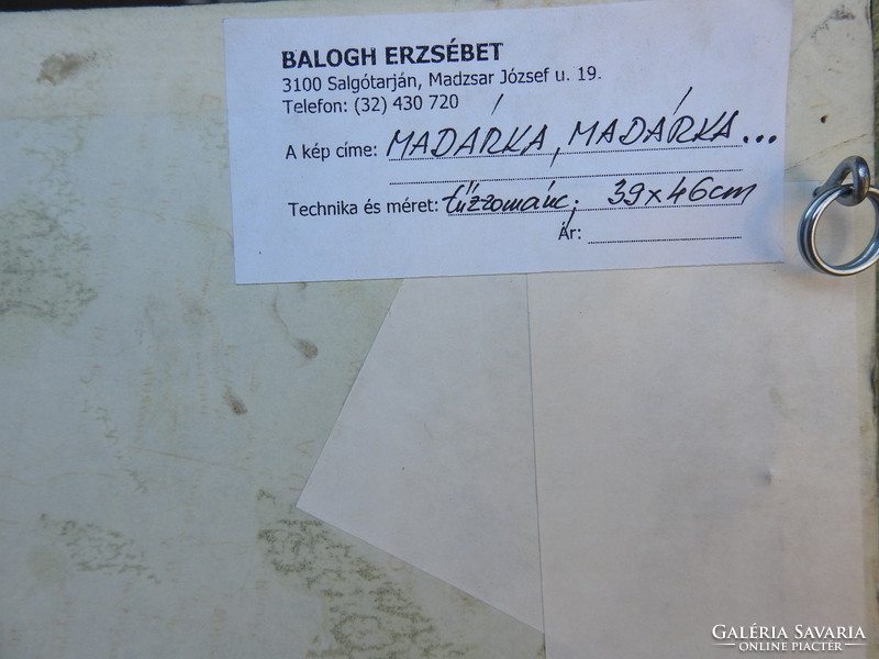Balogh Erzsébet - nagyméretű tűzzománc kép( 52,5 CM X 46 CM ) -  MADÁRKA - MADÁRKA