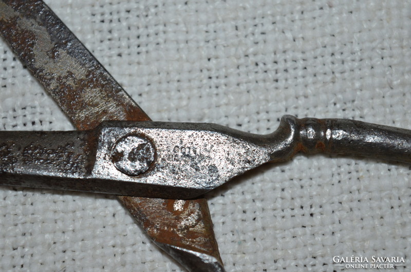 Old ornate scissors (dbz 0091)