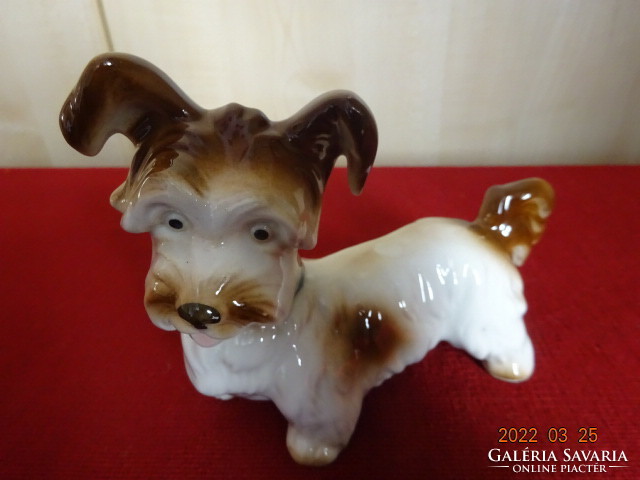 German porcelain figurine, hand-painted dog. He has! Jókai.
