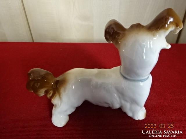 German porcelain figurine, hand-painted dog. He has! Jókai.