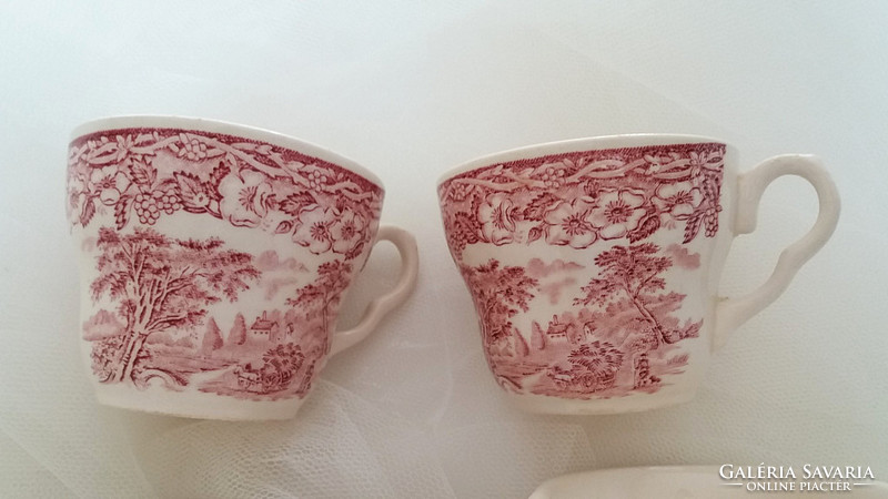 English faience cup pouring blackberries pattern 5 pcs