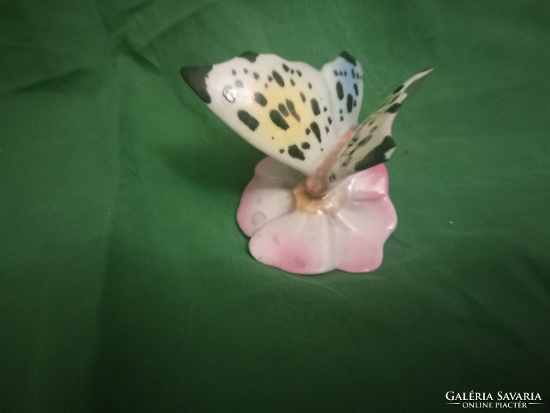 Beautiful raven house porcelain butterfly