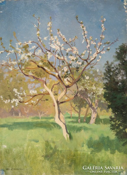 Jan stanislawski - apple tree in bloom - reprint