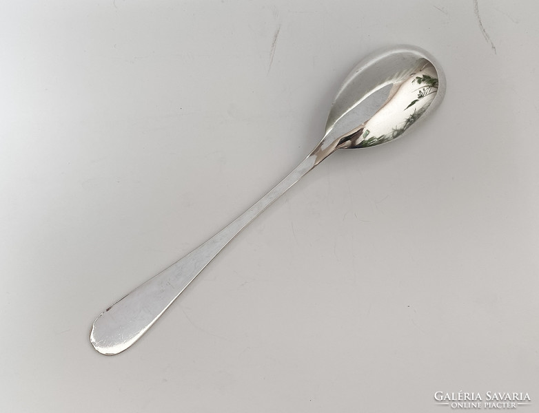 Silver spoon, large.