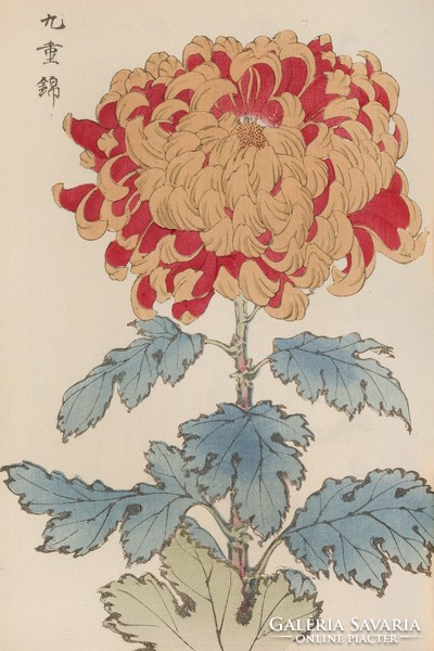 Hasegawa - Japanese Flower Wonders 05. - Canvas reprint on blinds