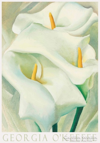 Modern művészeti plakát Georgia O'Keeffe Kála liliom 1924 fehér virág festmény növény természet