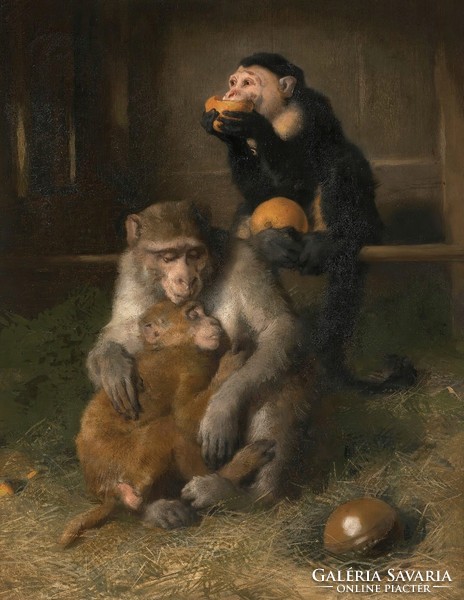 Henry landseer - monkeys - canvas reprint