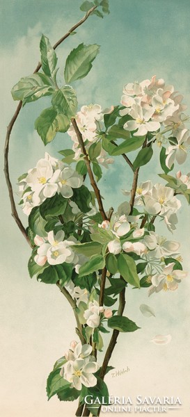 Thaddeus welch - apple tree in bloom - canvas reprint