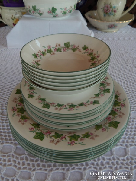 English bone china royal doulton amber pattern dishwasher set