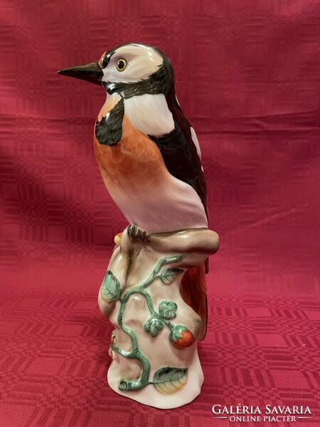 Herend beautifully painted woodpecker