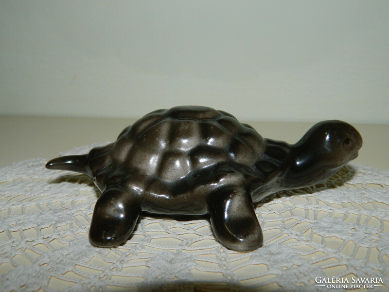 Hollóházi teknősbéka