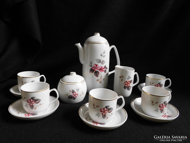 Ravenhouse vintage rose coffee set from the 60's (mid century)