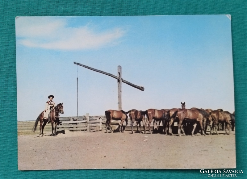 Hortobágy, stud, 1975, postman, horse, horses, landscape
