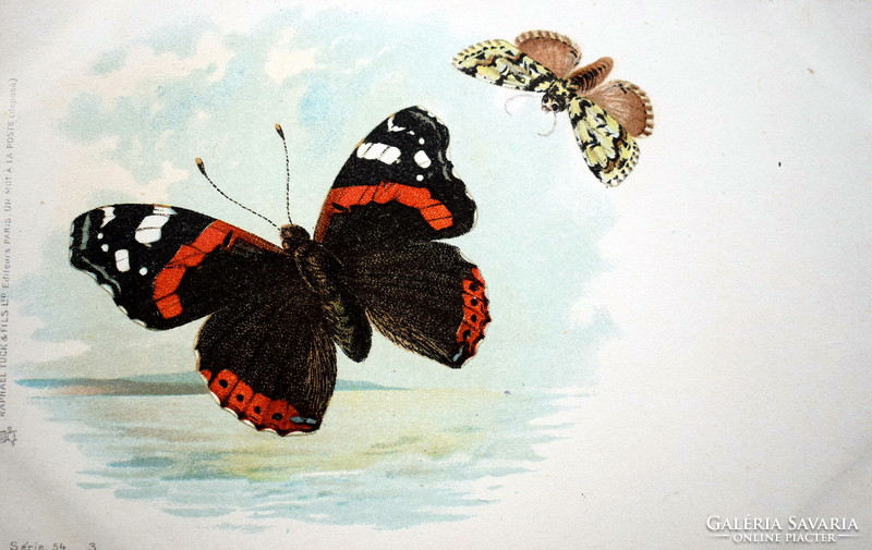 Antik R Tuck üdvözlő litho képeslap pillangók