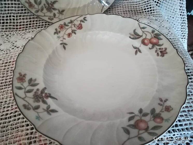 Haas & czjzek schlaggenwald porcelain deep plate