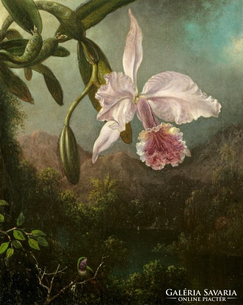 Martin heade - orchid - canvas reprint