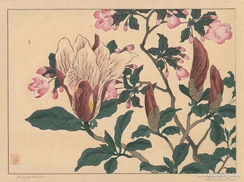 Sakai hoitsu - magnolia - canvas reprint