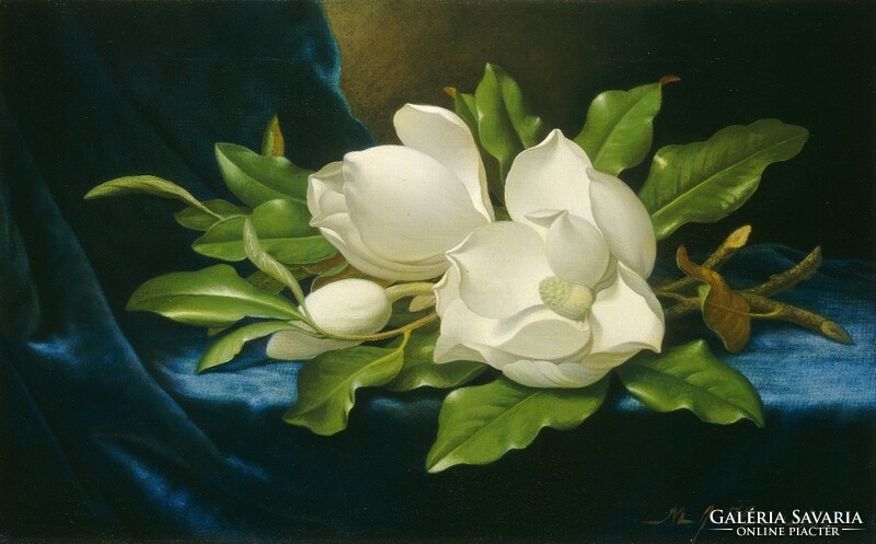 Martin heade - magnolias - canvas reprint