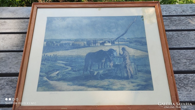 Novák lajos - watering - colored etching framed behind glass