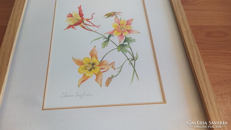 (K) Szép akva virág festmény Claire szignóval  30x38 cm kerettel