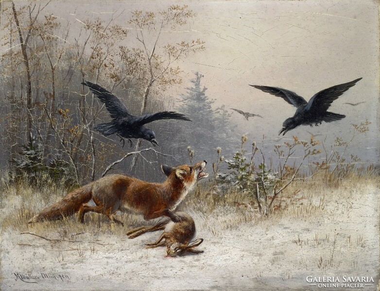 Moritz müller - the fox is hunting a rabbit - on a canvas reprint blind