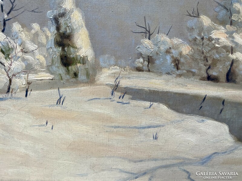 Bánsághi vince / winter landscape