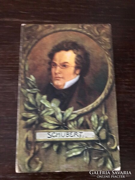 Schubert 1797-1828 osztrák romantikus zeneszerző.Képeslap festmény alapján.1918.bélyeggel ellátva.