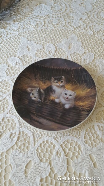 Very nice kitten decorative plate