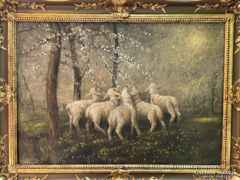 Bálint barley: spring flowering with lambs 93x123cm !!!