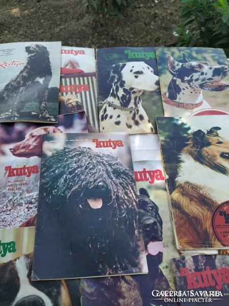 Retro  KUTYA újság 1972-1978 évből 42 db eladó!
