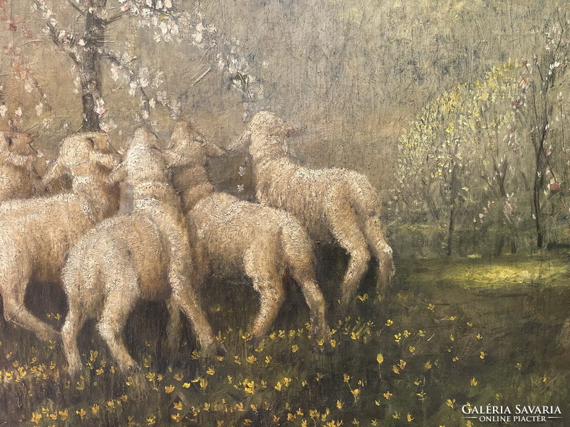 Bálint barley: spring flowering with lambs 93x123cm !!!