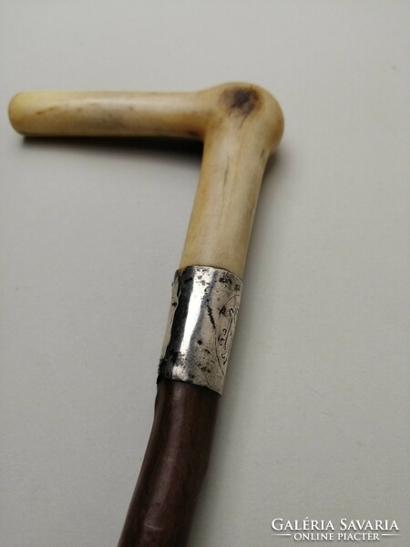 Antique walking stick with a noble coat of arms
