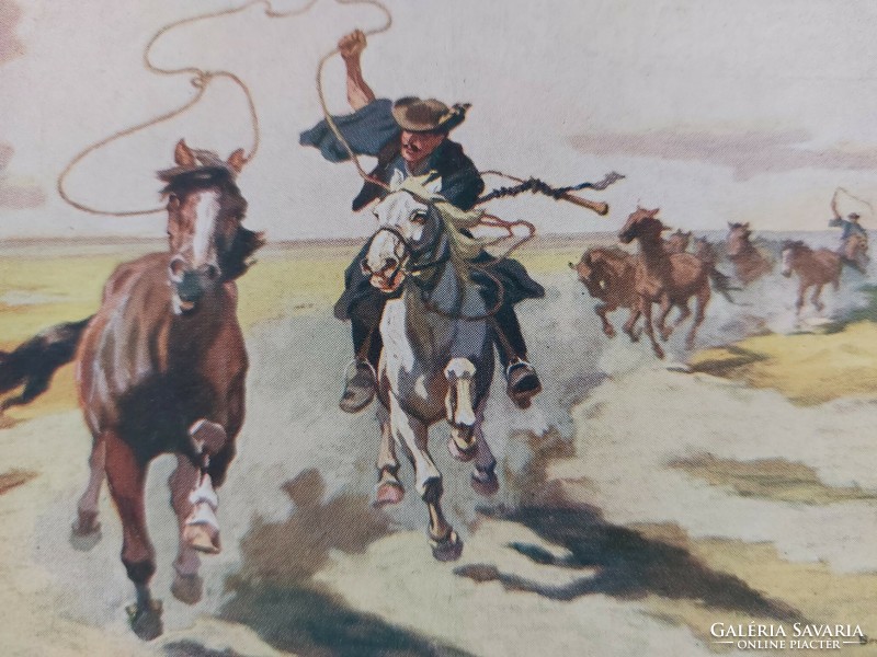 Old equestrian postcard art postcard benyovszky panyvavető