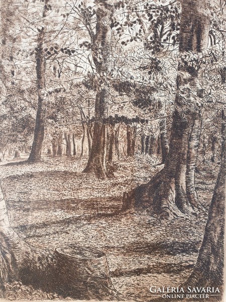 Scultéty Éva (1917-2001) - Őszi erdő