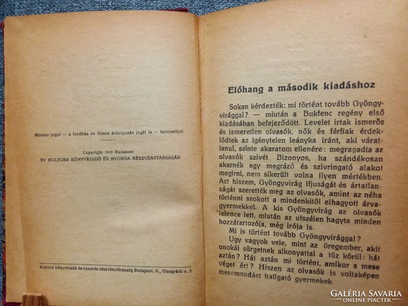 Krúdy Gyula: Bukfenc (1919, második kiadás)