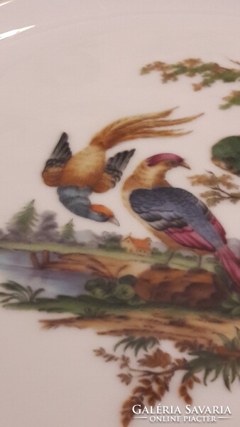 Tropical bird porcelain decorative plate, wall plate (l2250)